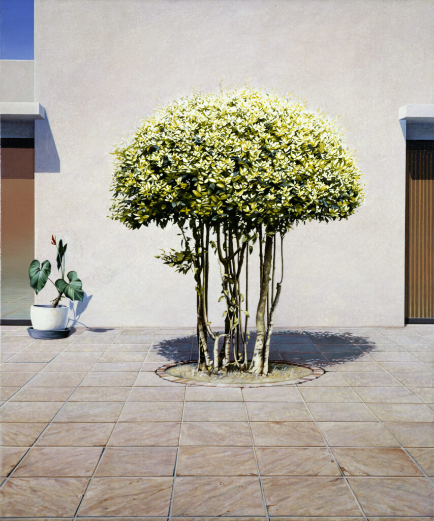 Ravenna Tree