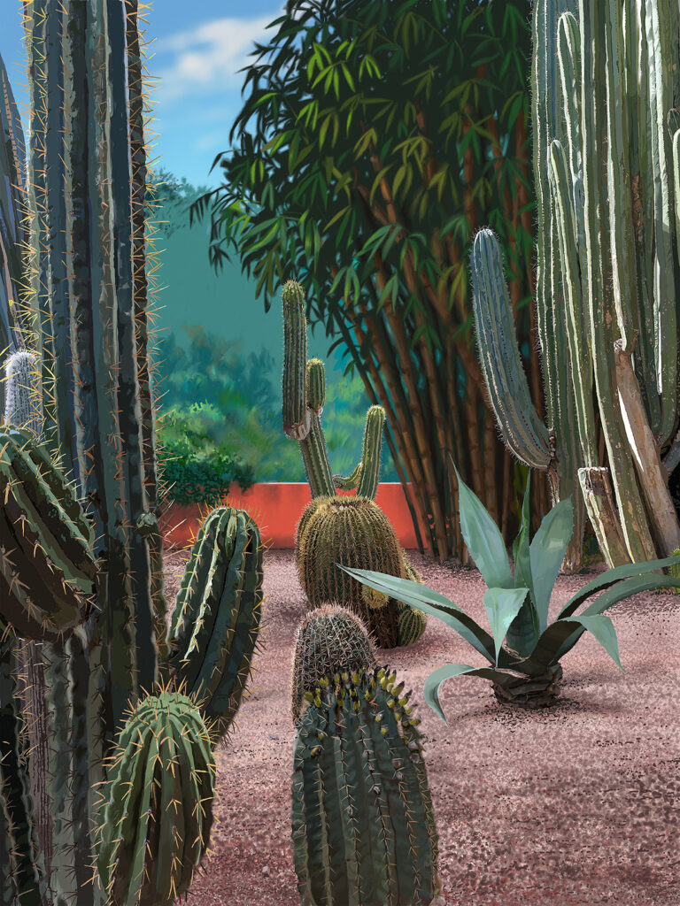 Cactus 1
