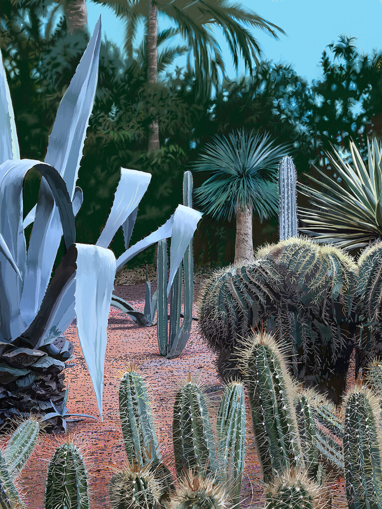 Cactus 3