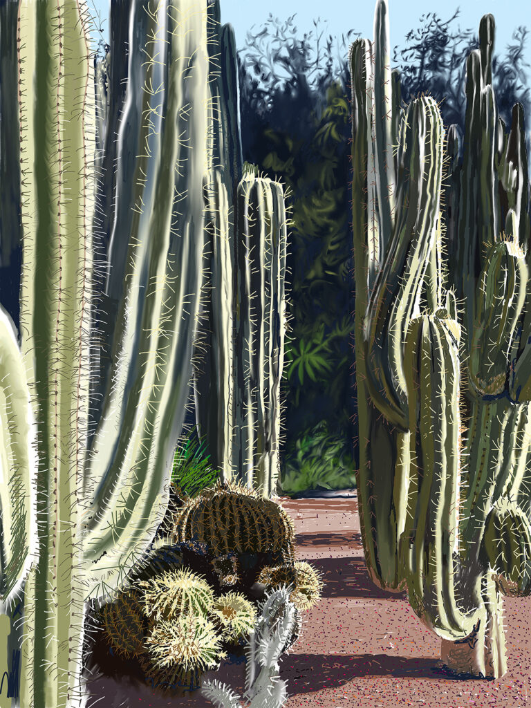 Cactus 4